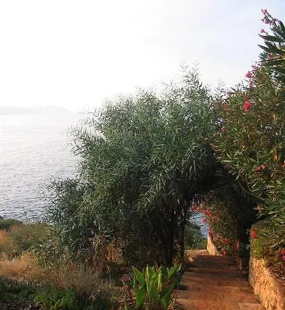 Peaceful Paradise *